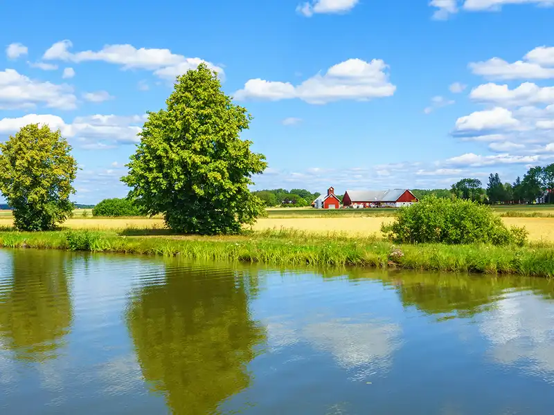 Agriculture Insurance